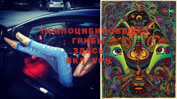 круглые Алексеевка