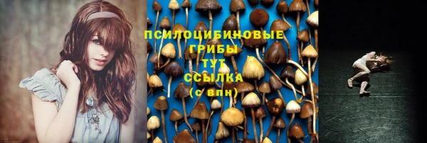 Альфа ПВП Абинск